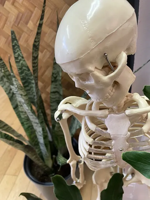 Main Street Yoga Studio Picture 5