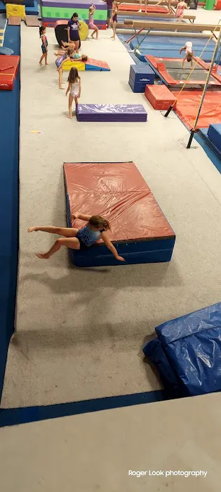 Power and Fitness Picture 9