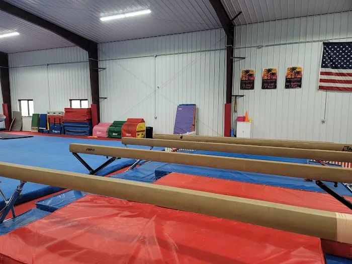 Competitive Edge Gymnastics Academy Picture 6