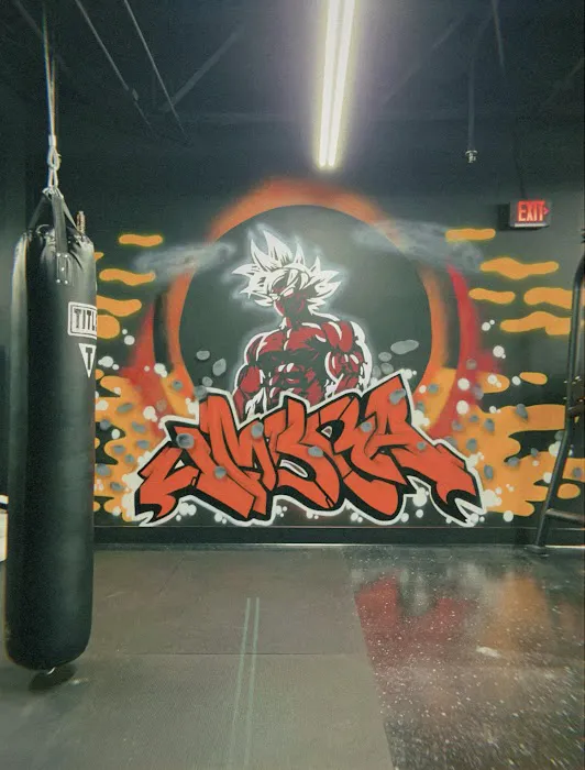 Umbra Strength 24/7 Gym Picture 4