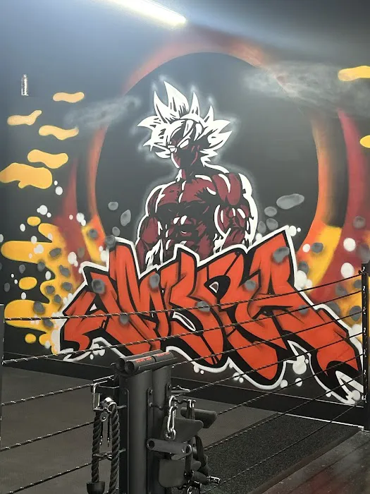 Umbra Strength 24/7 Gym Picture 7