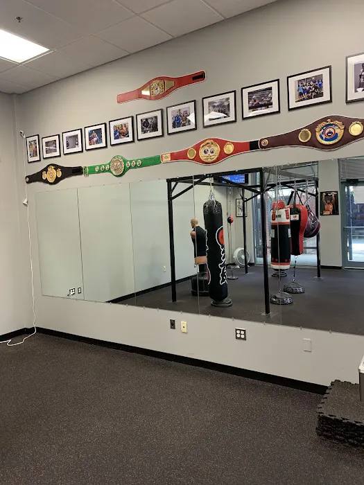 Ultimate Fitness Boxing Picture 10