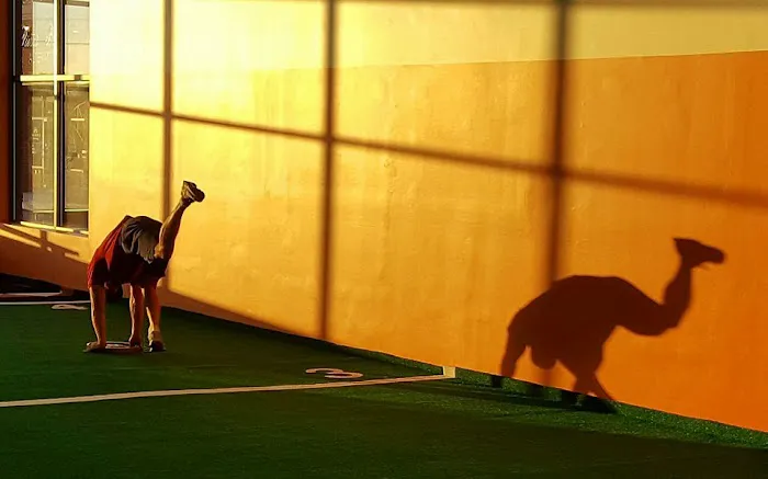 Syphus Training Picture 1