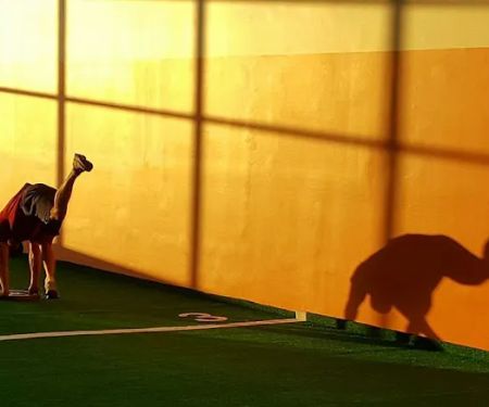 Syphus Training