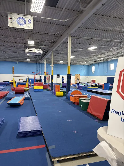 fLipSpot Gymnastics and Cheer of Rochester Picture 6