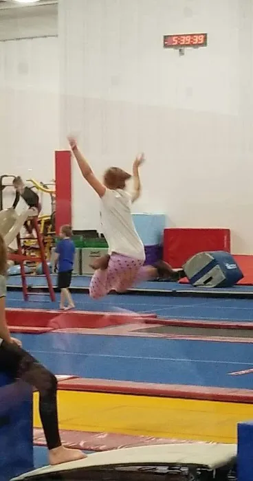 American Gymnastics Chesterfield Picture 4