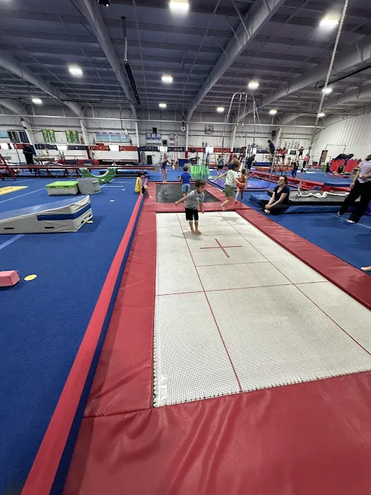 American Gymnastics Chesterfield Picture 5