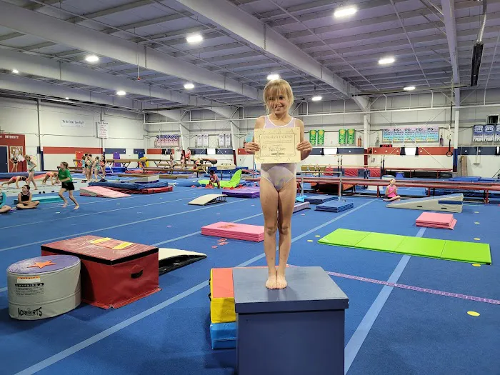 American Gymnastics Chesterfield Picture 1