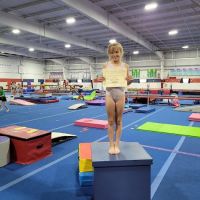 American Gymnastics Chesterfield ico