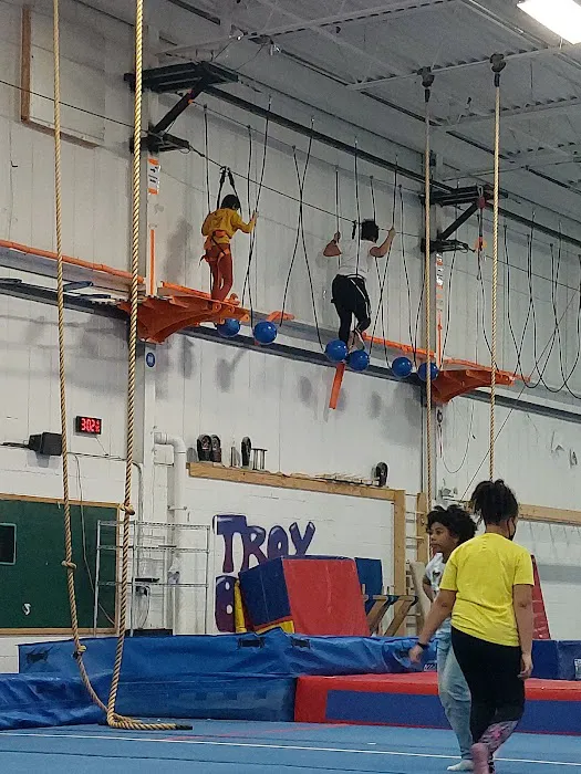 Troy Gym 3 Picture 7