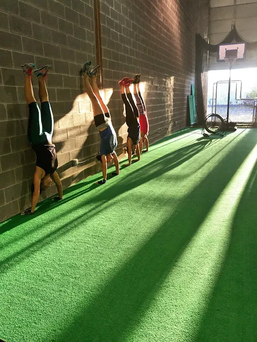 Q Athletics Picture 5