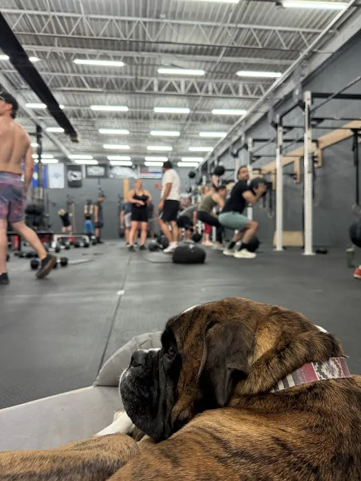 High Caliber Strength & Fitness Troy Picture 4