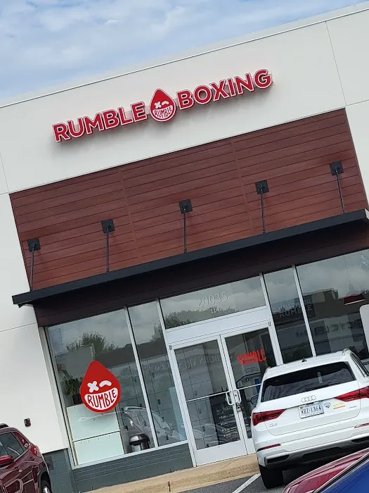 Rumble Boxing Picture 2
