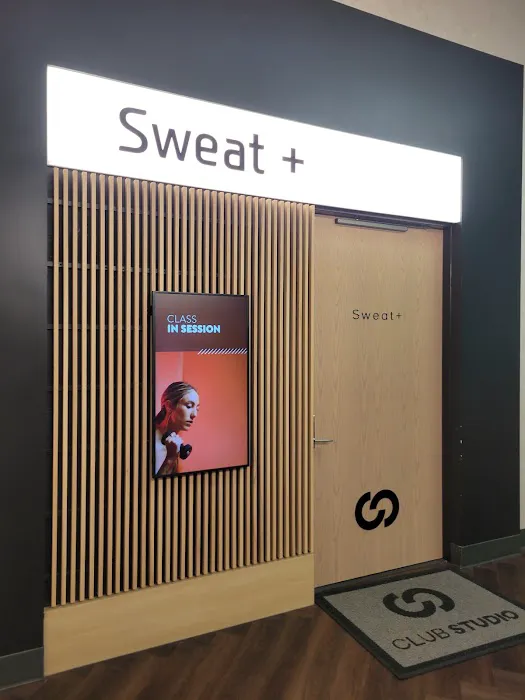 Club Studio Picture 4