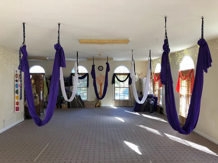 Opus Yoga Picture 7