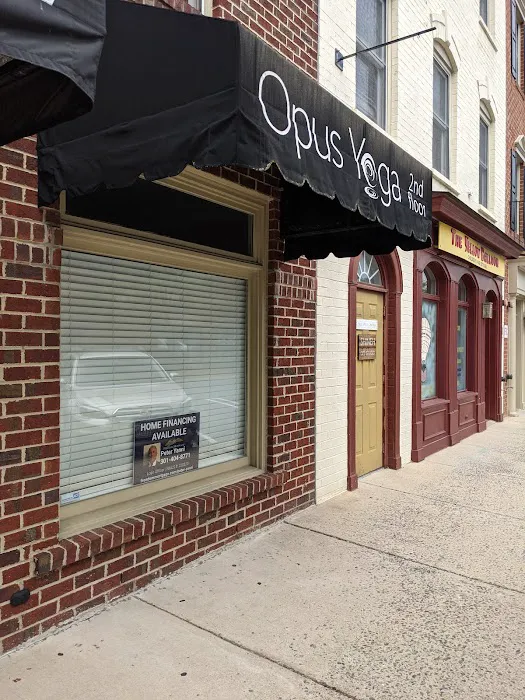 Opus Yoga Picture 4