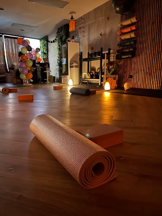 IronBody Studios Picture 4