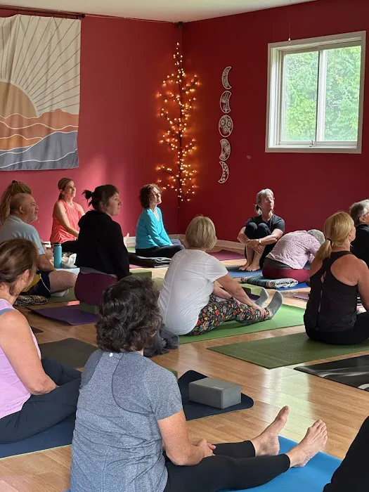 So Hum Yoga Studio/Grand Rapids Picture 7