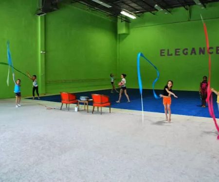 Elegance Gymnastics School