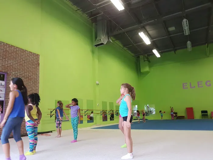 Elegance Gymnastics School Picture 4