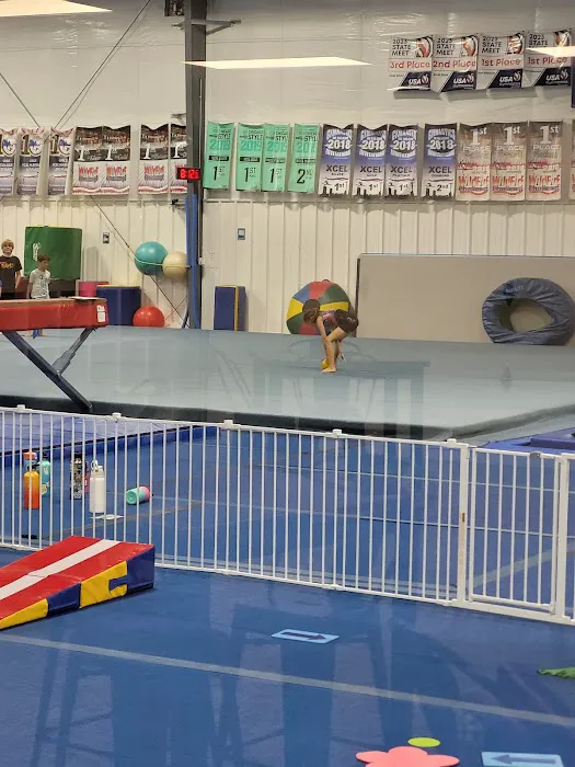 Rising Starz Gymnastics and Fitness Picture 3