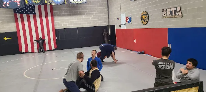 Beast Elite Training Academy Picture 7