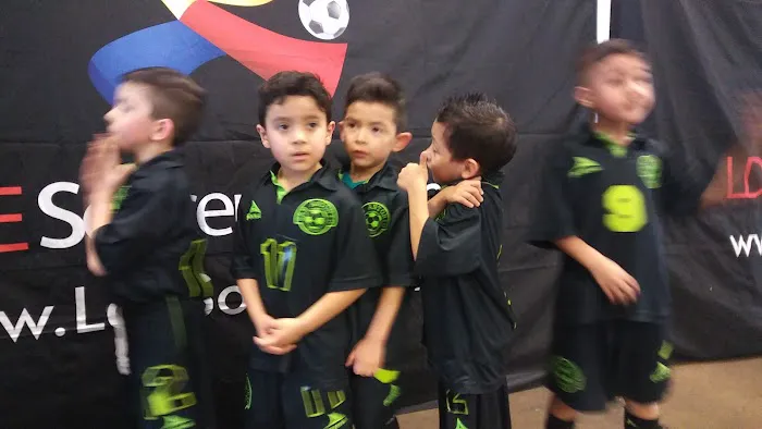 SAN FRANCISCO SOCCER LEAGUE Picture 2