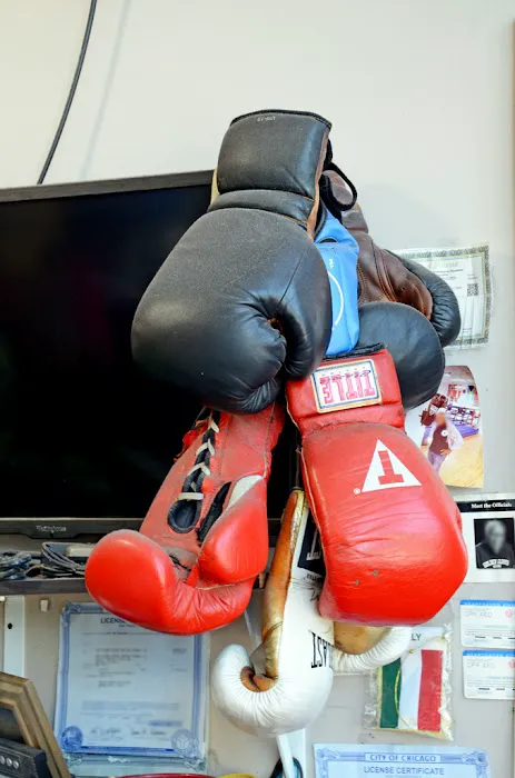 Sam Colonna Boxing Picture 5