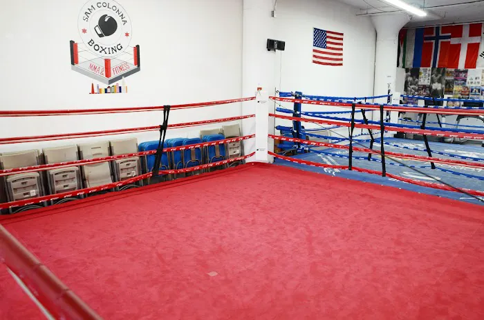 Sam Colonna Boxing Picture 3