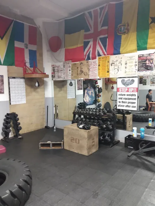 Sam Colonna Boxing Picture 8