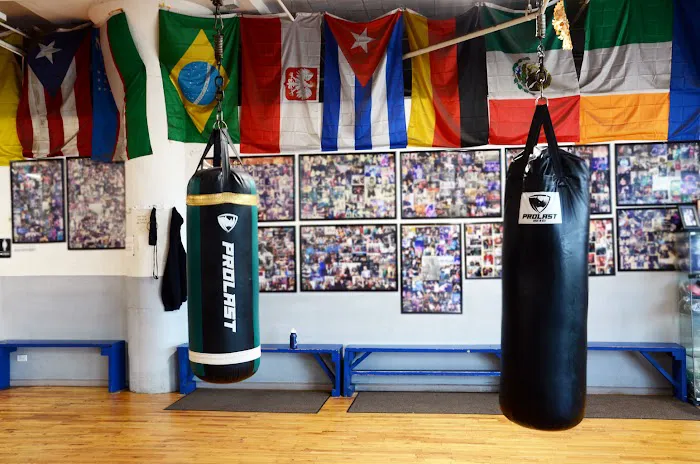 Sam Colonna Boxing Picture 1