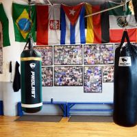 Sam Colonna Boxing ico