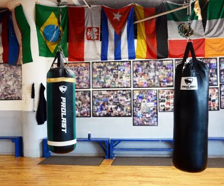 Sam Colonna Boxing