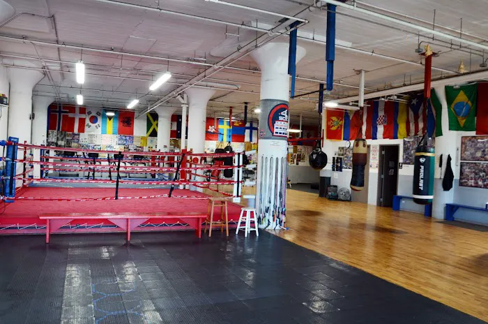 Sam Colonna Boxing Picture 6