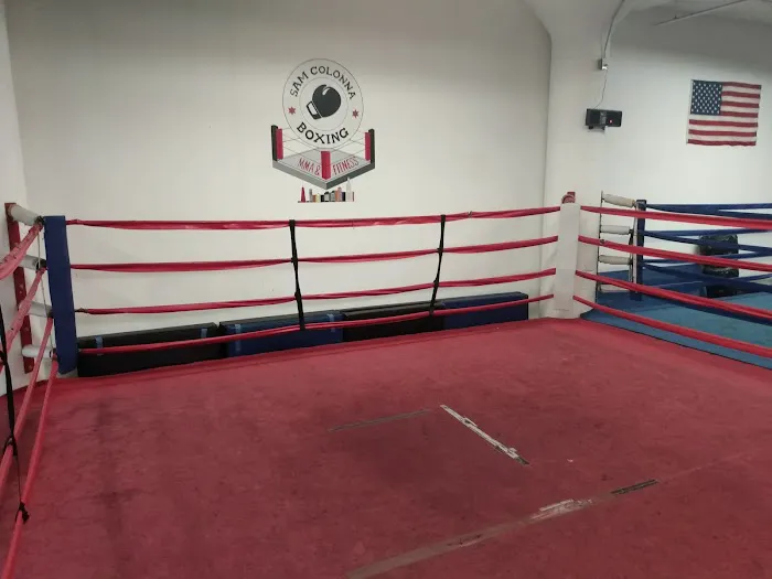 Sam Colonna Boxing Picture 4