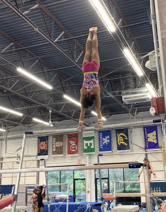 Hill's Gymnastics Training Center Picture 5