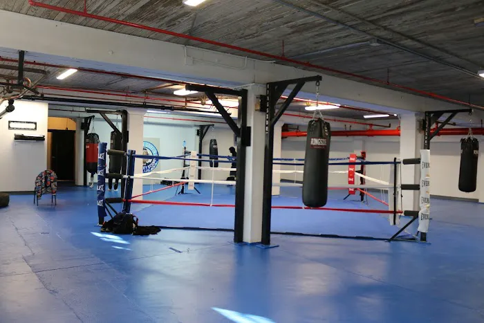 Windy City Boxing Picture 10