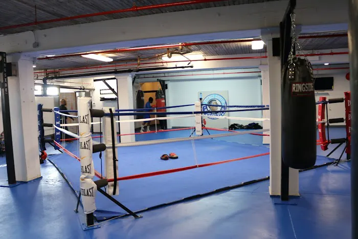 Windy City Boxing Picture 4