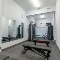 5W Strength Club ico