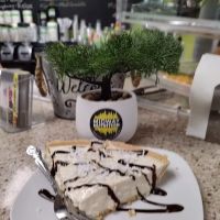 Midway Nutrition ico