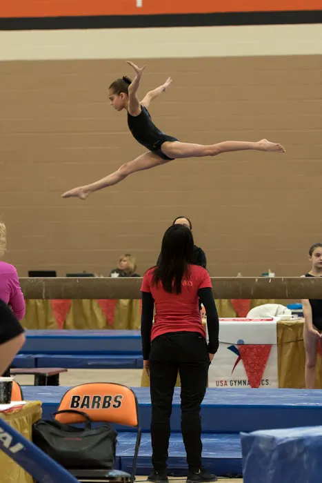 C.I.T.Y. Club Gymnastics Academy Picture 3