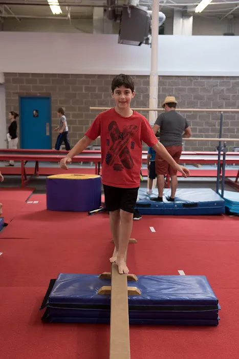 C.I.T.Y. Club Gymnastics Academy Picture 10