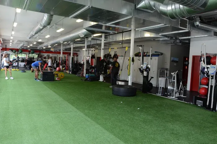 Phenomenal Fitness Picture 9