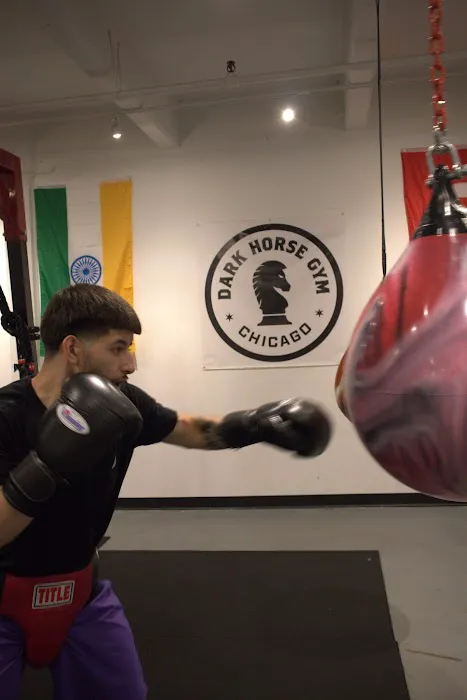 Dark Horse Gym Picture 4