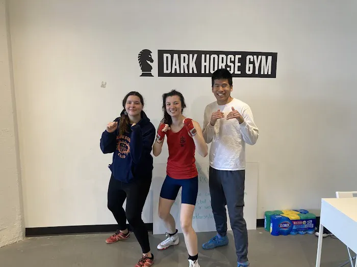 Dark Horse Gym Picture 1