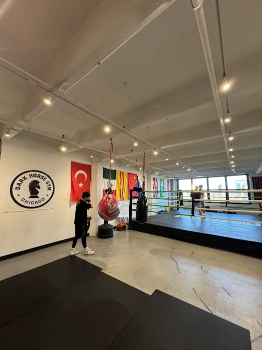 Dark Horse Gym Picture 2