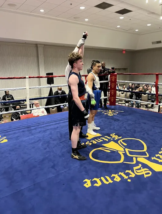 Dark Horse Gym Picture 3