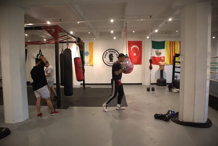 Dark Horse Gym Picture 10