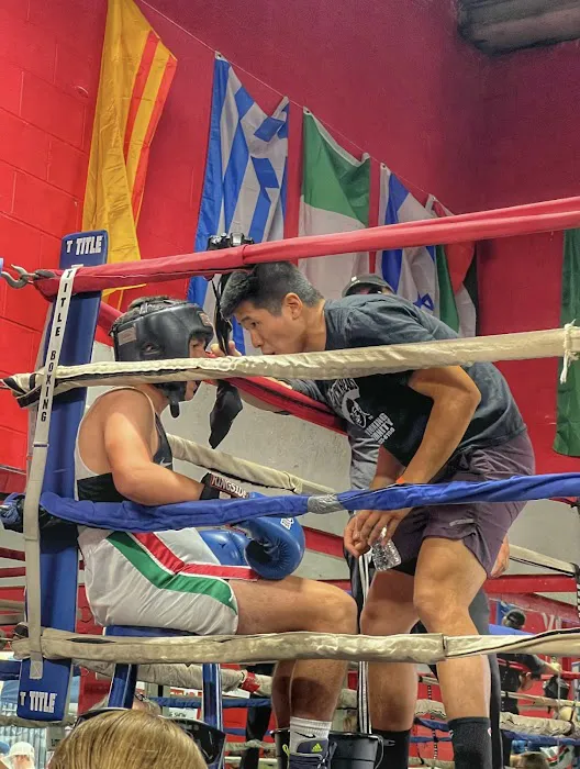 Dark Horse Gym Picture 8