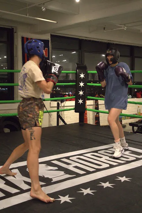 Dark Horse Gym Picture 7